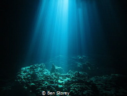 Natural Light!  Shot at Devil's Den in Williston, FL. by Ben Storey 